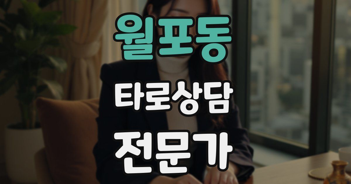 월포동 타로상담전문가 자격증