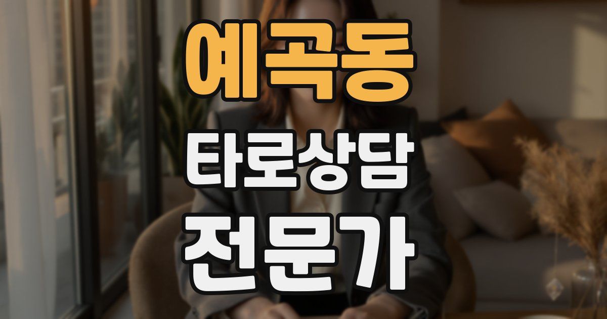 예곡동 타로상담전문가 자격증