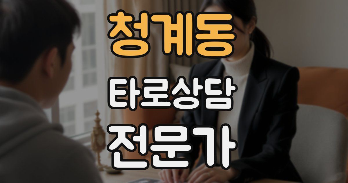 청계동 타로상담전문가 자격증