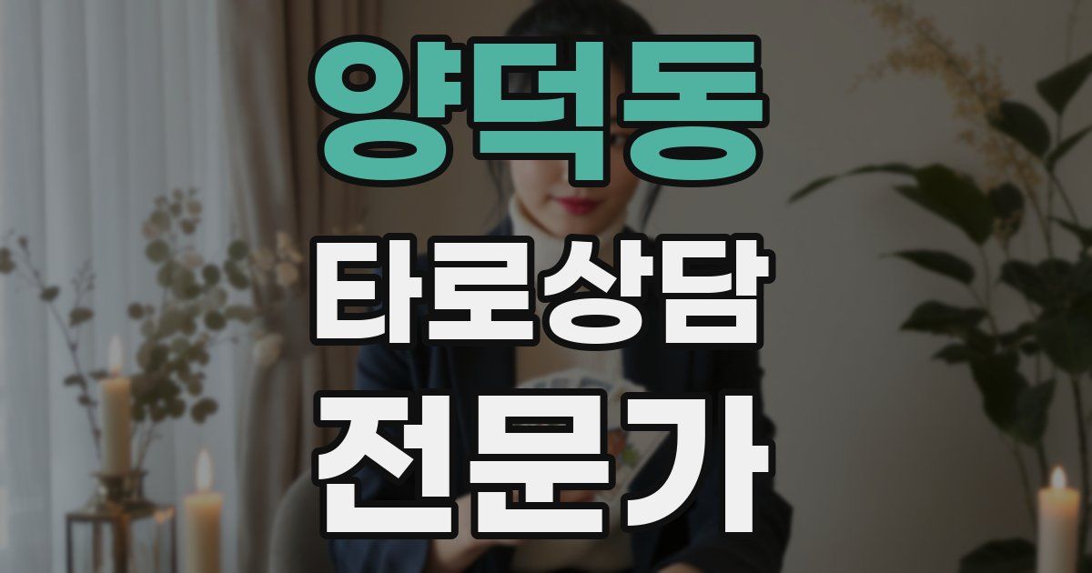 양덕동 타로상담전문가 자격증