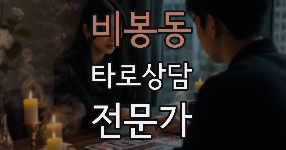 비봉동 타로상담전문가 자격증