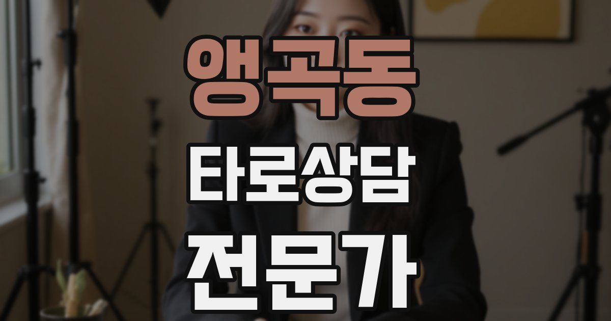 앵곡동 타로상담전문가 자격증