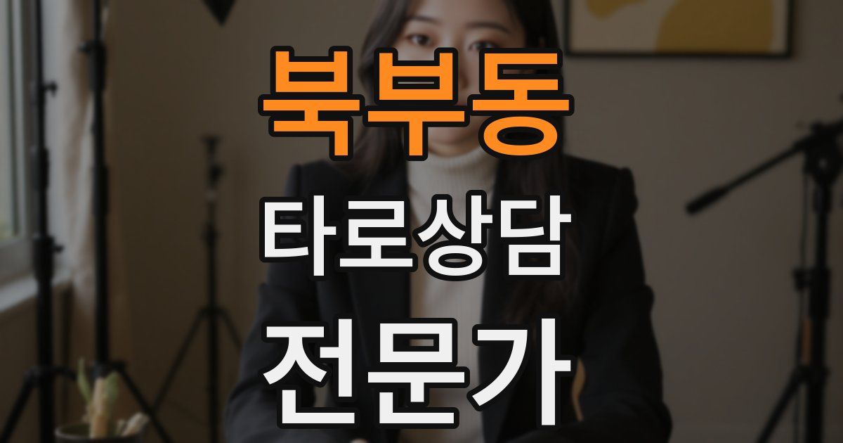 북부동 타로상담전문가 자격증