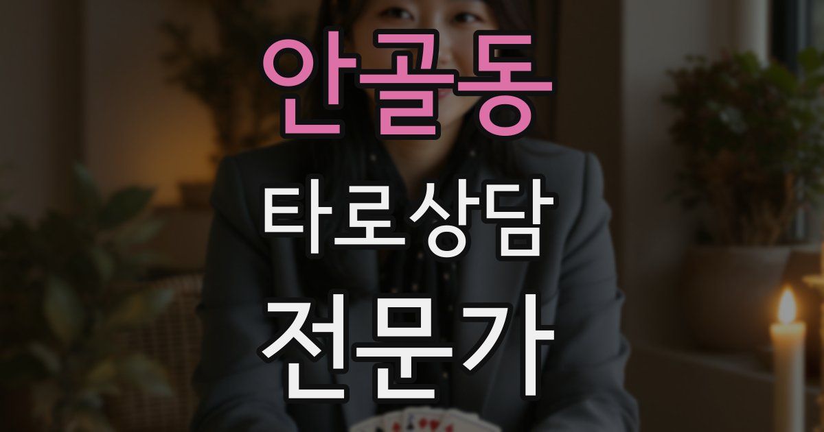 안골동 타로상담전문가 자격증
