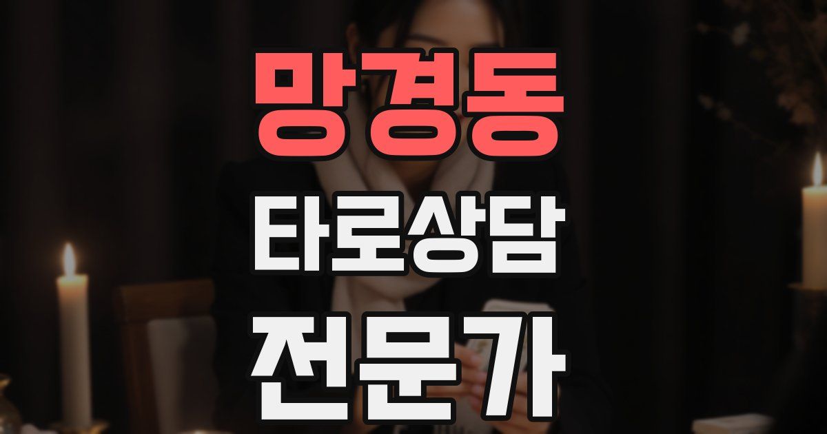 망경동 타로상담전문가 자격증