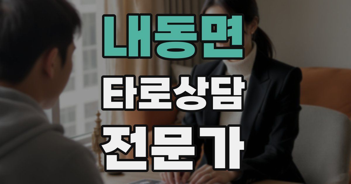 내동면 타로상담전문가 자격증