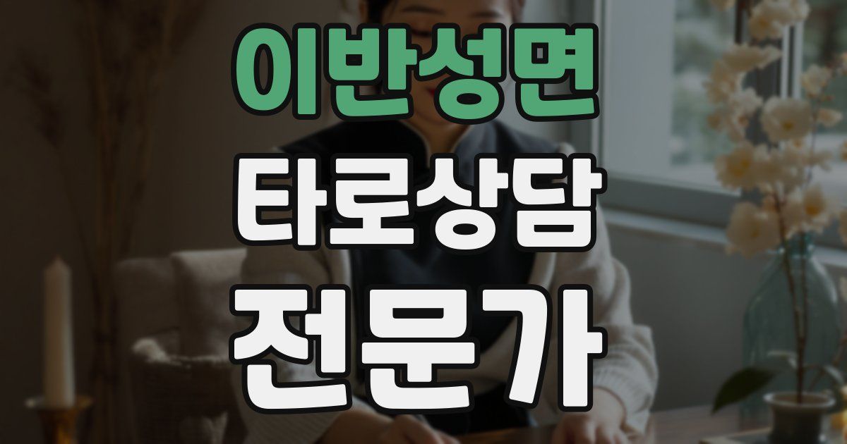 이반성면 타로상담전문가 자격증