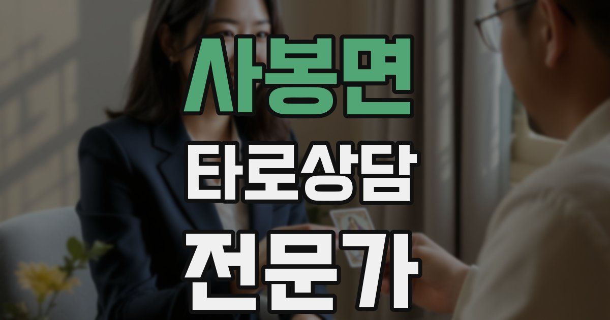 사봉면 타로상담전문가 자격증