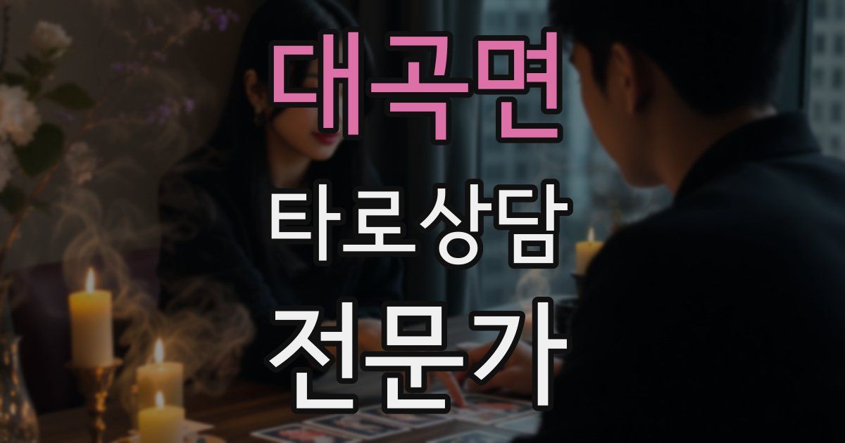 대곡면 타로상담전문가 자격증