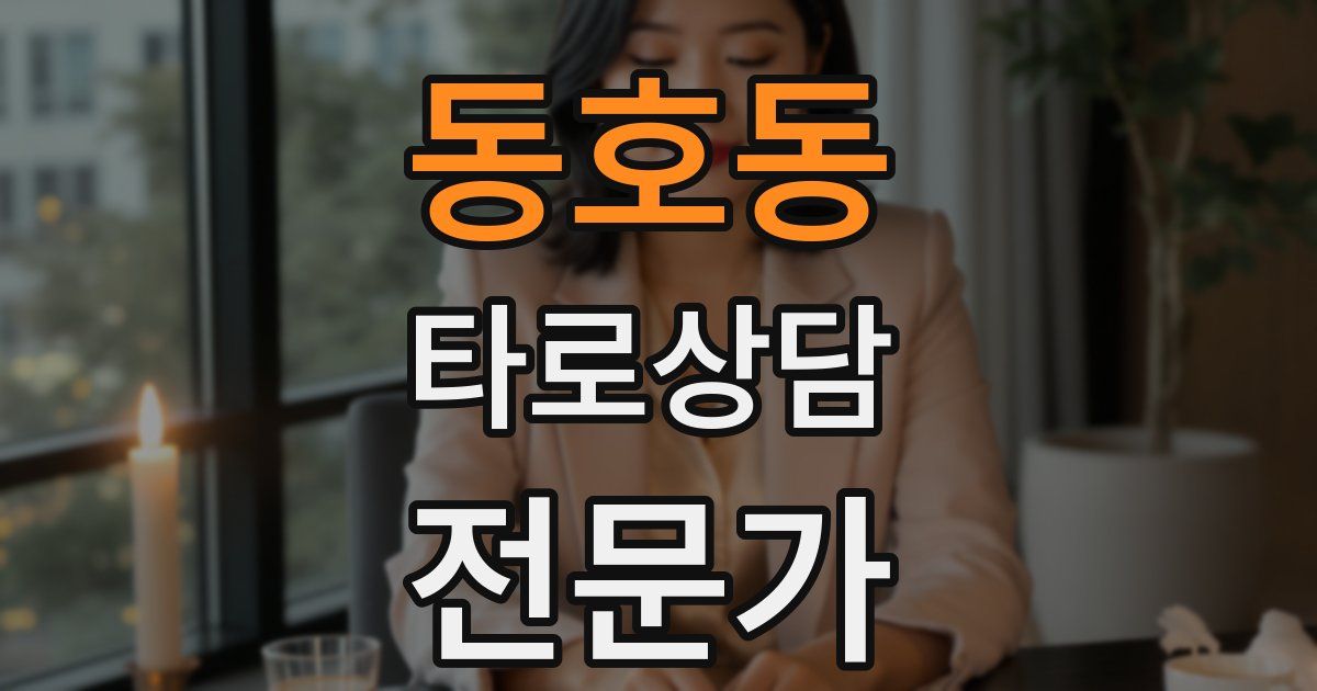 동호동 타로상담전문가 자격증