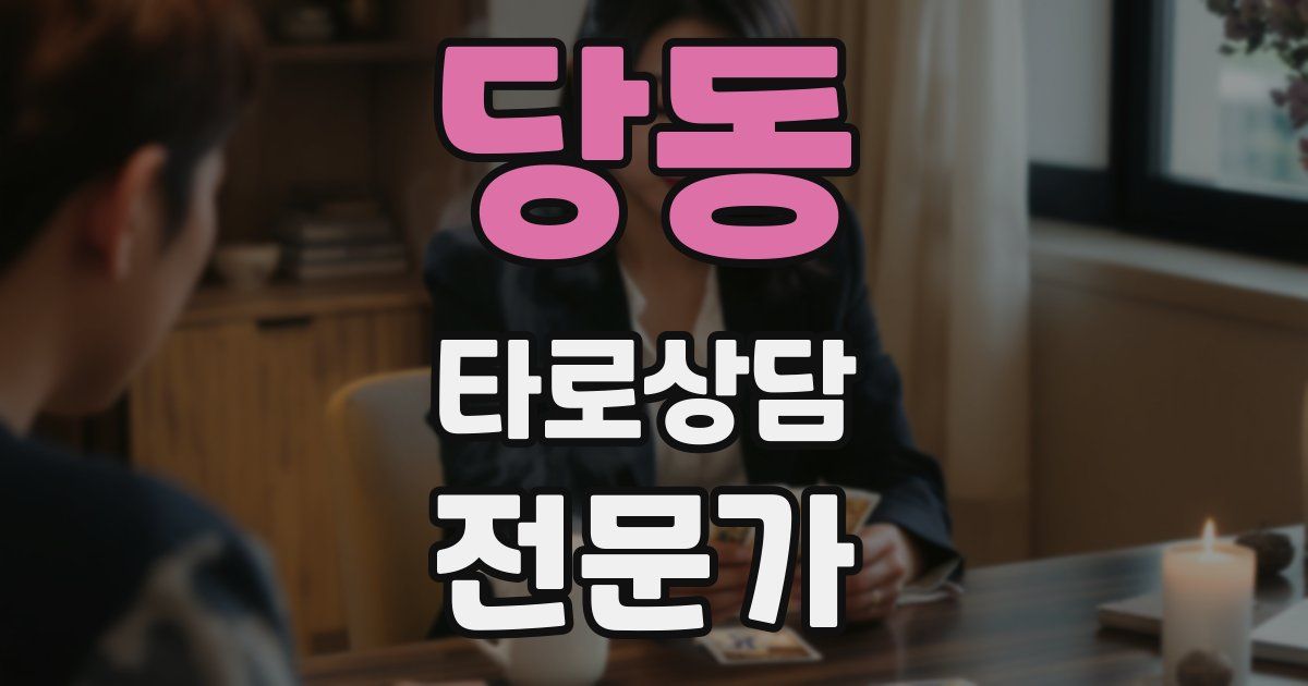 당동 타로상담전문가 자격증