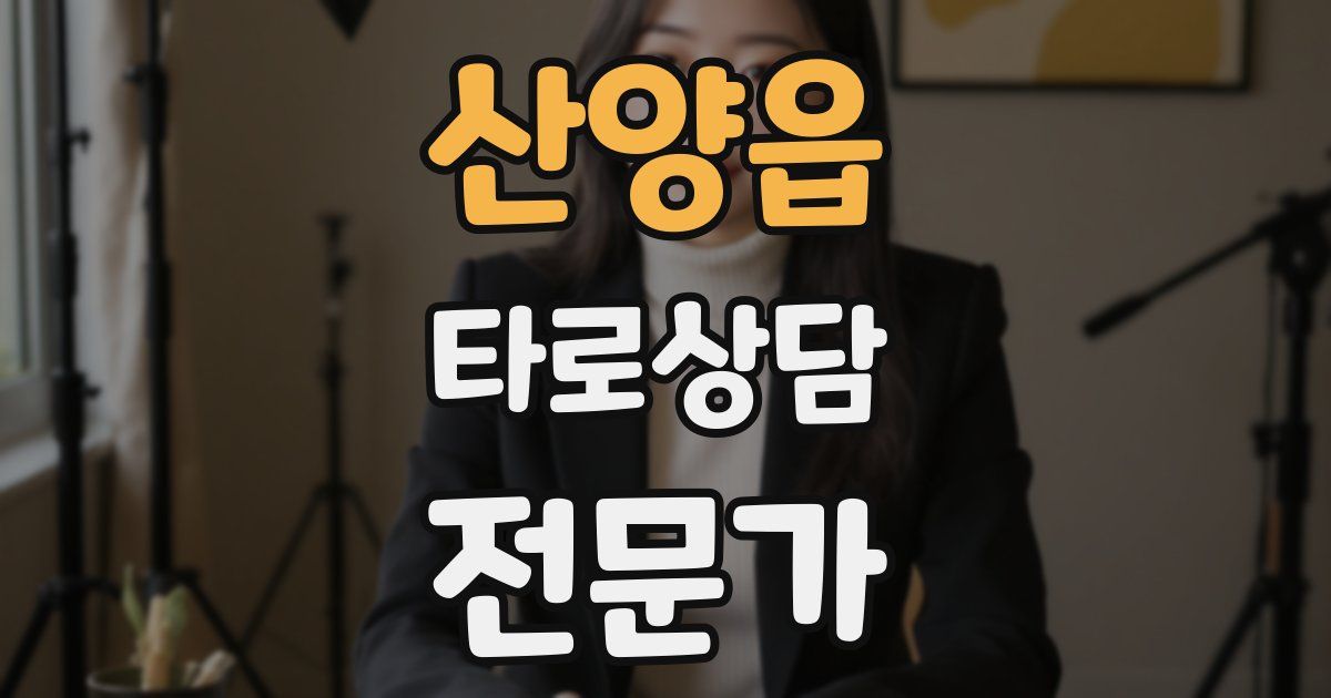 산양읍 타로상담전문가 자격증