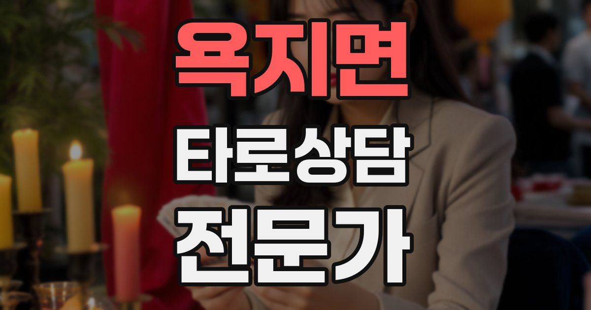 욕지면 타로상담전문가 자격증