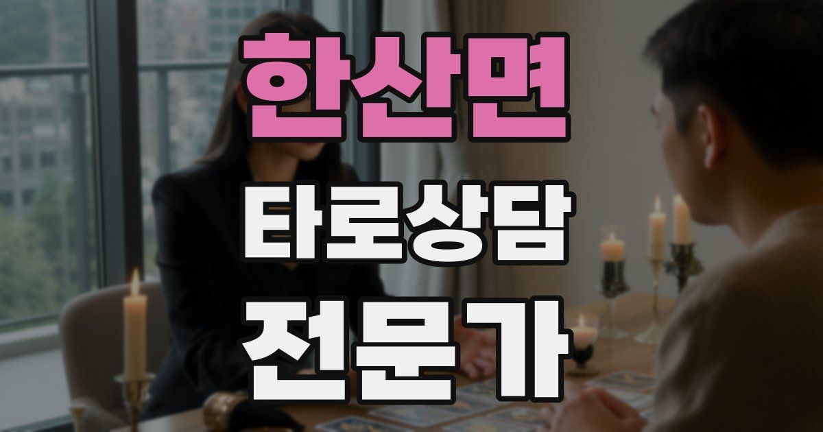한산면 타로상담전문가 자격증