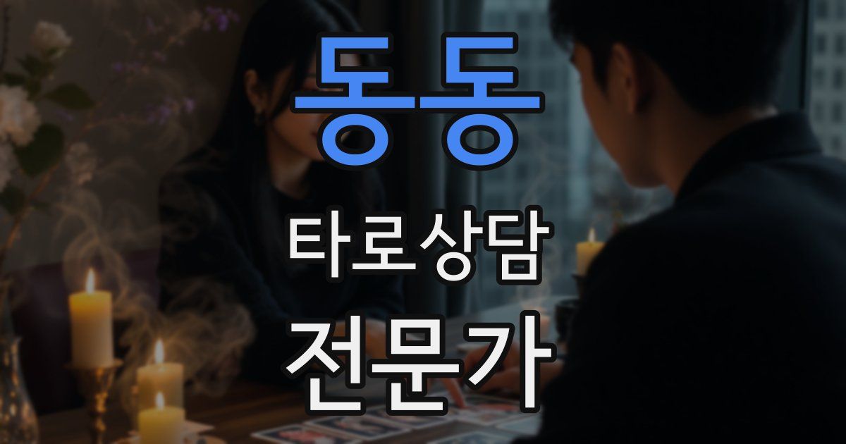 동동 타로상담전문가 자격증