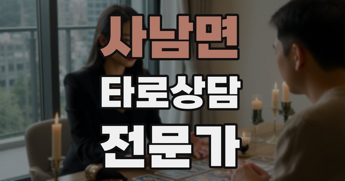사남면 타로상담전문가 자격증