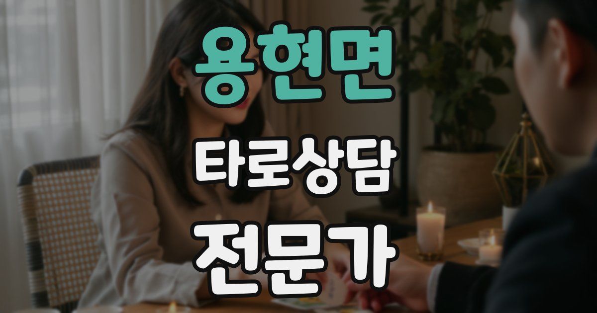 용현면 타로상담전문가 자격증