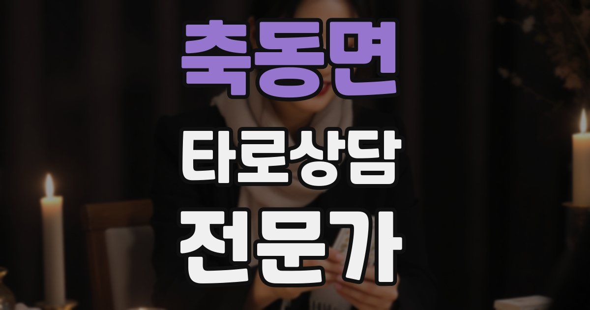 축동면 타로상담전문가 자격증