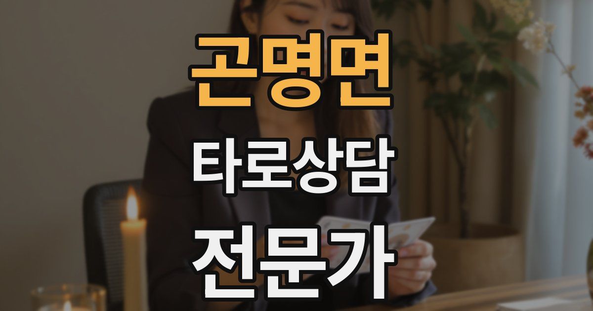 곤명면 타로상담전문가 자격증