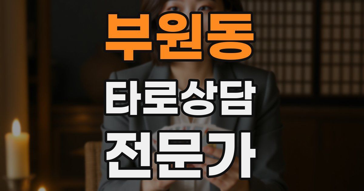 부원동 타로상담전문가 자격증