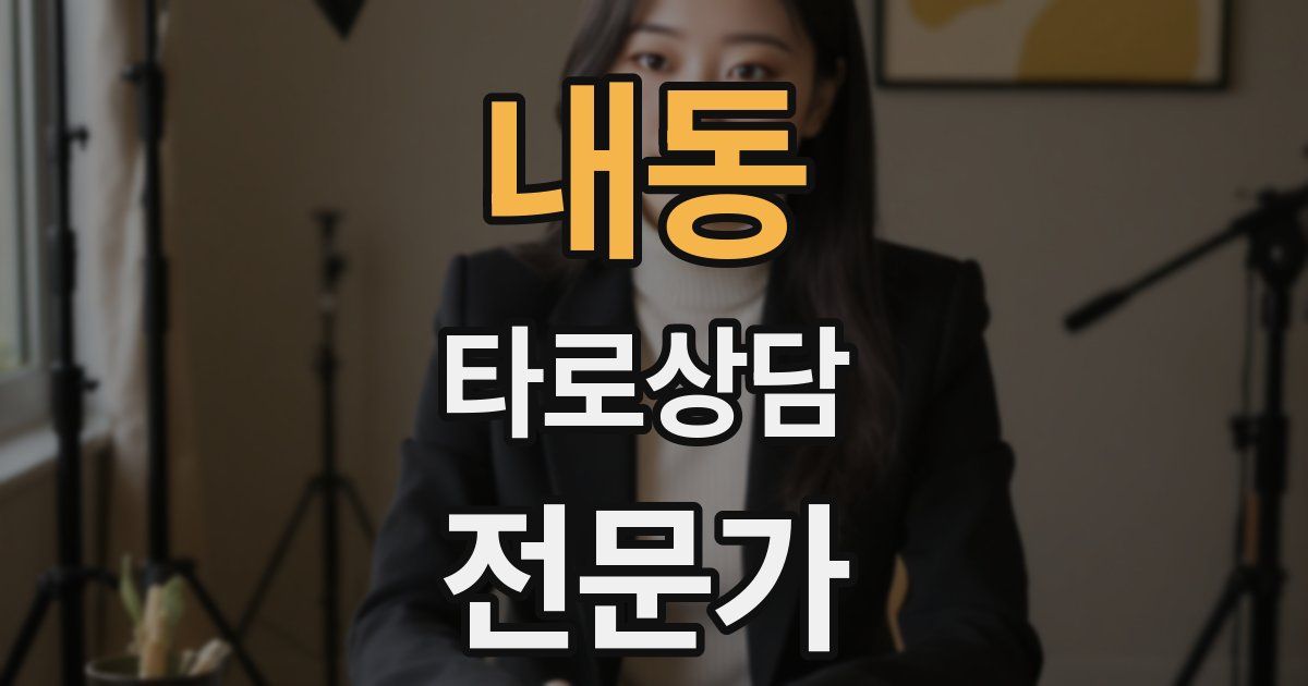 내동 타로상담전문가 자격증
