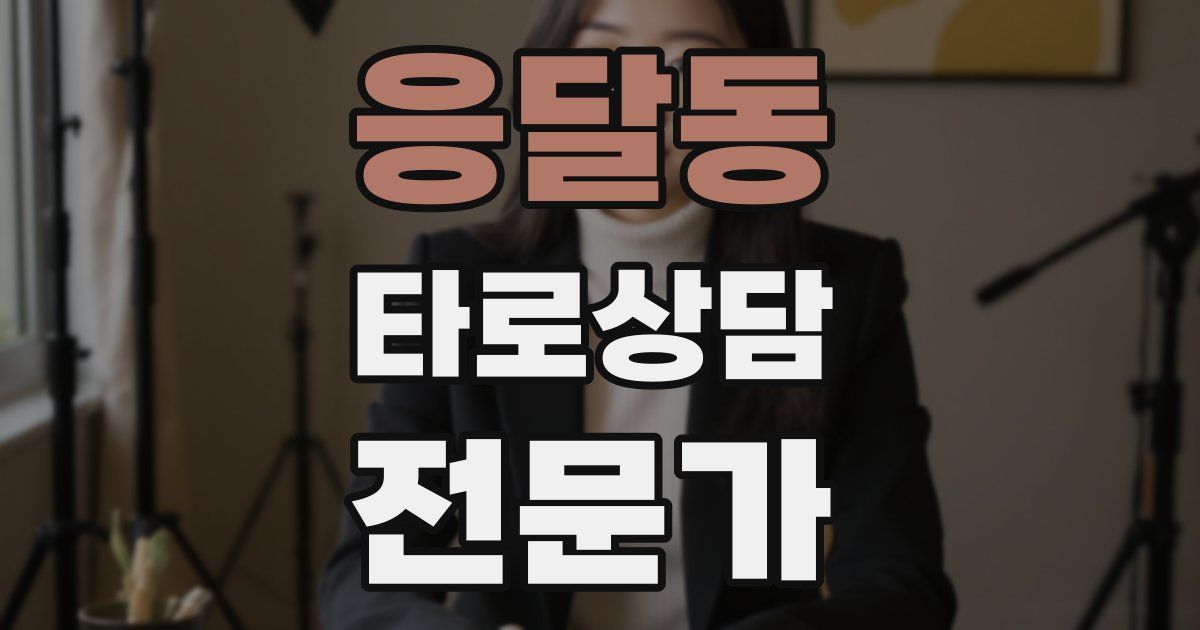 응달동 타로상담전문가 자격증