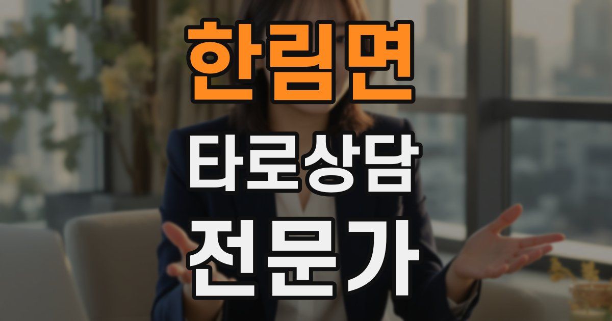 한림면 타로상담전문가 자격증