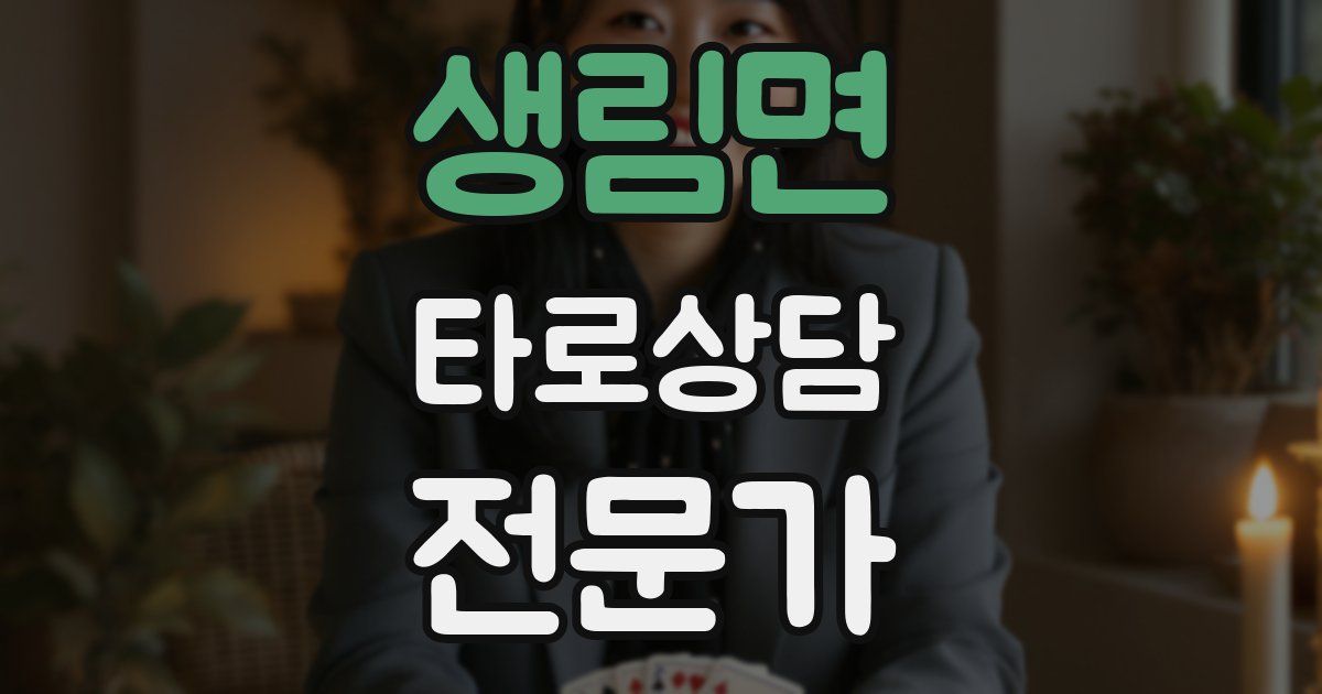 생림면 타로상담전문가 자격증