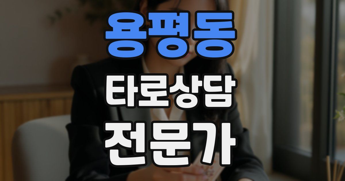 용평동 타로상담전문가 자격증
