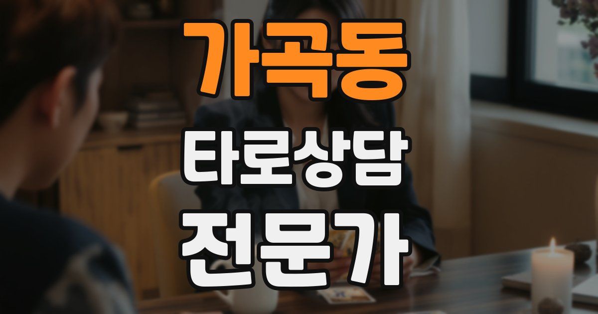 가곡동 타로상담전문가 자격증