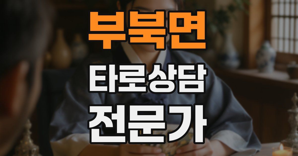부북면 타로상담전문가 자격증