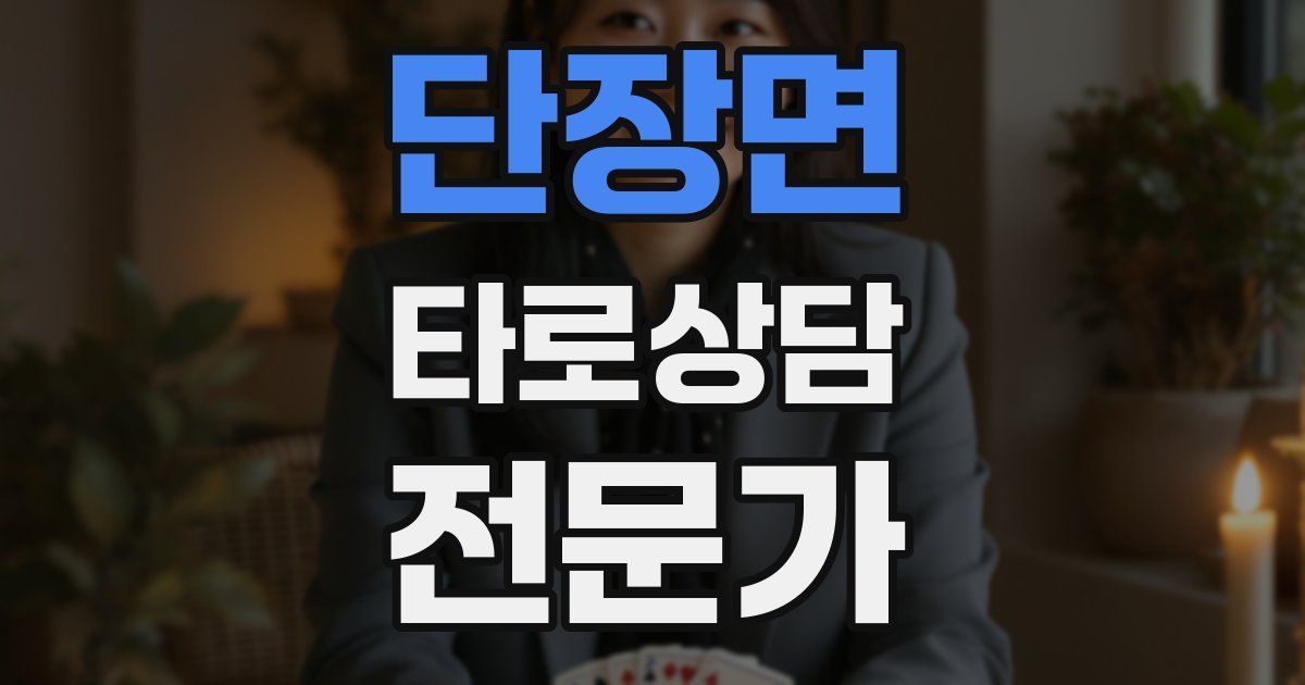 단장면 타로상담전문가 자격증