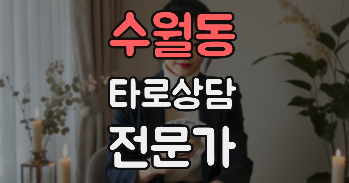 수월동 타로상담전문가 자격증