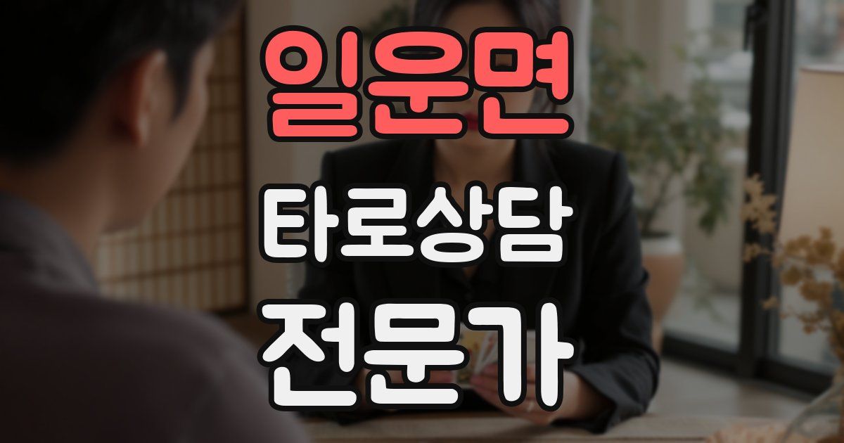 일운면 타로상담전문가 자격증