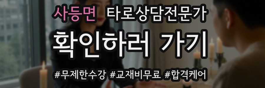사등면 타로상담전문가 자격증