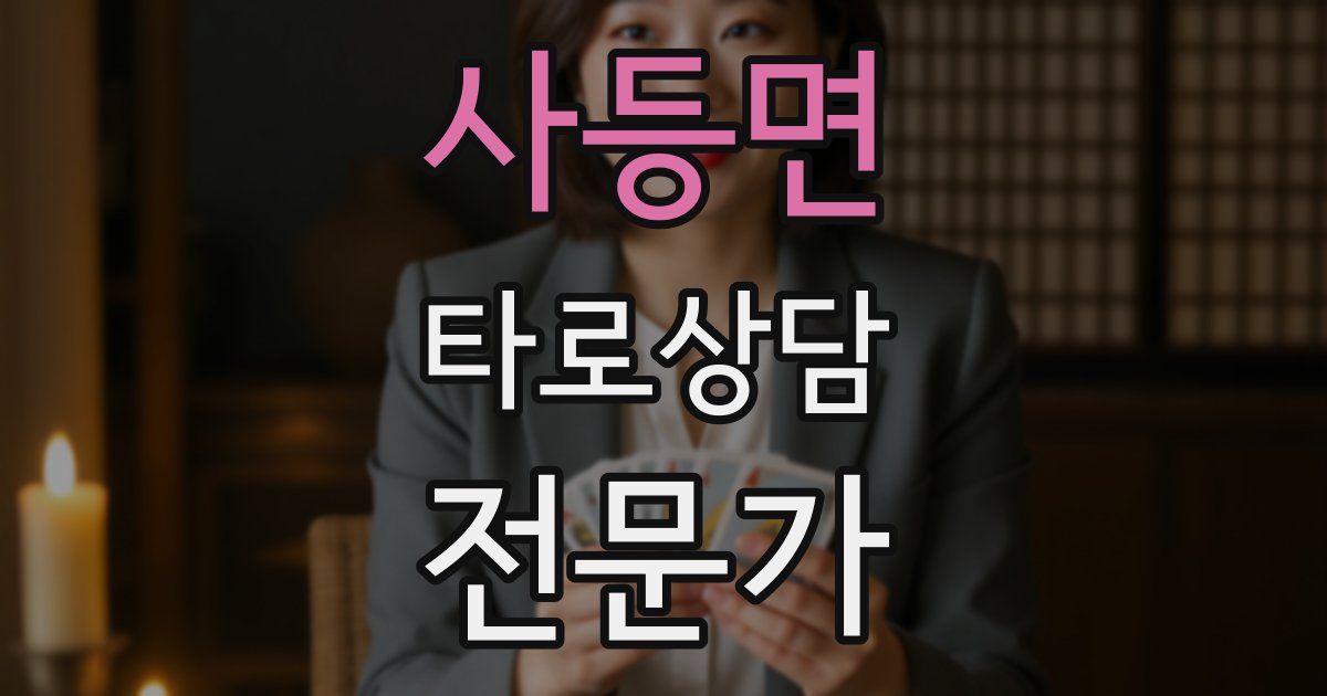 사등면 타로상담전문가 자격증