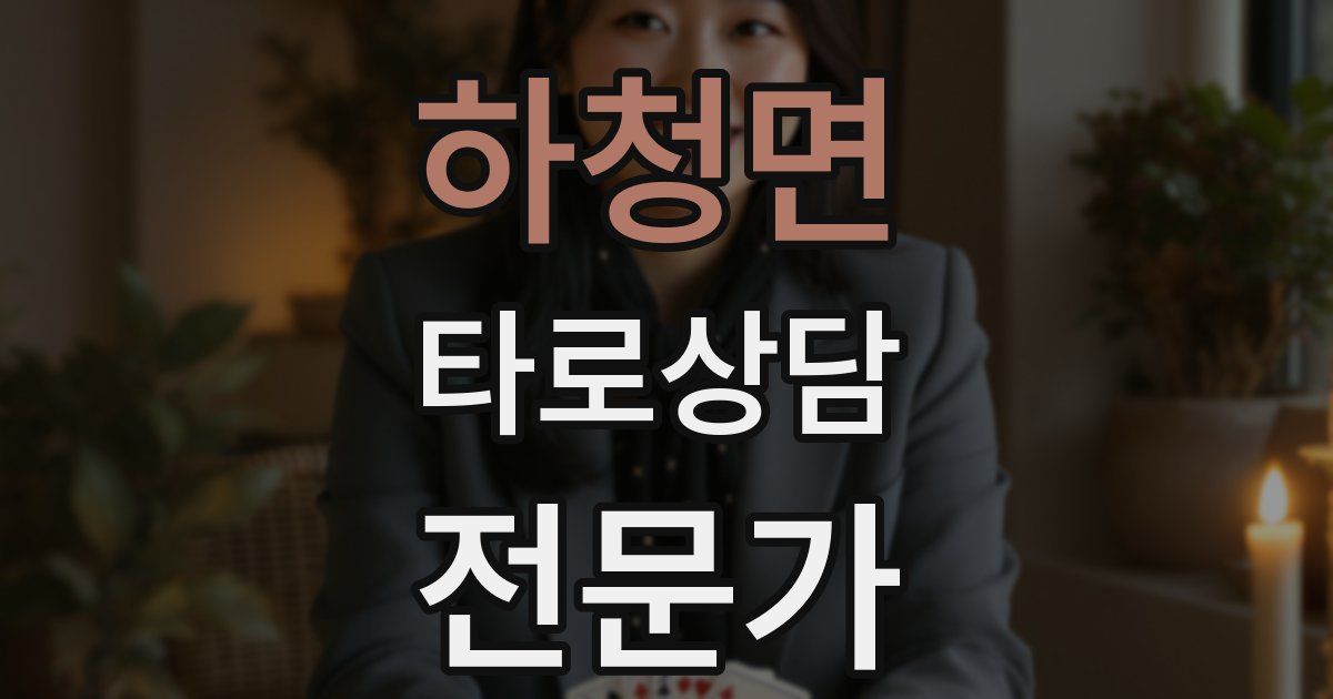 하청면 타로상담전문가 자격증