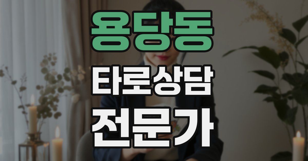 용당동 타로상담전문가 자격증