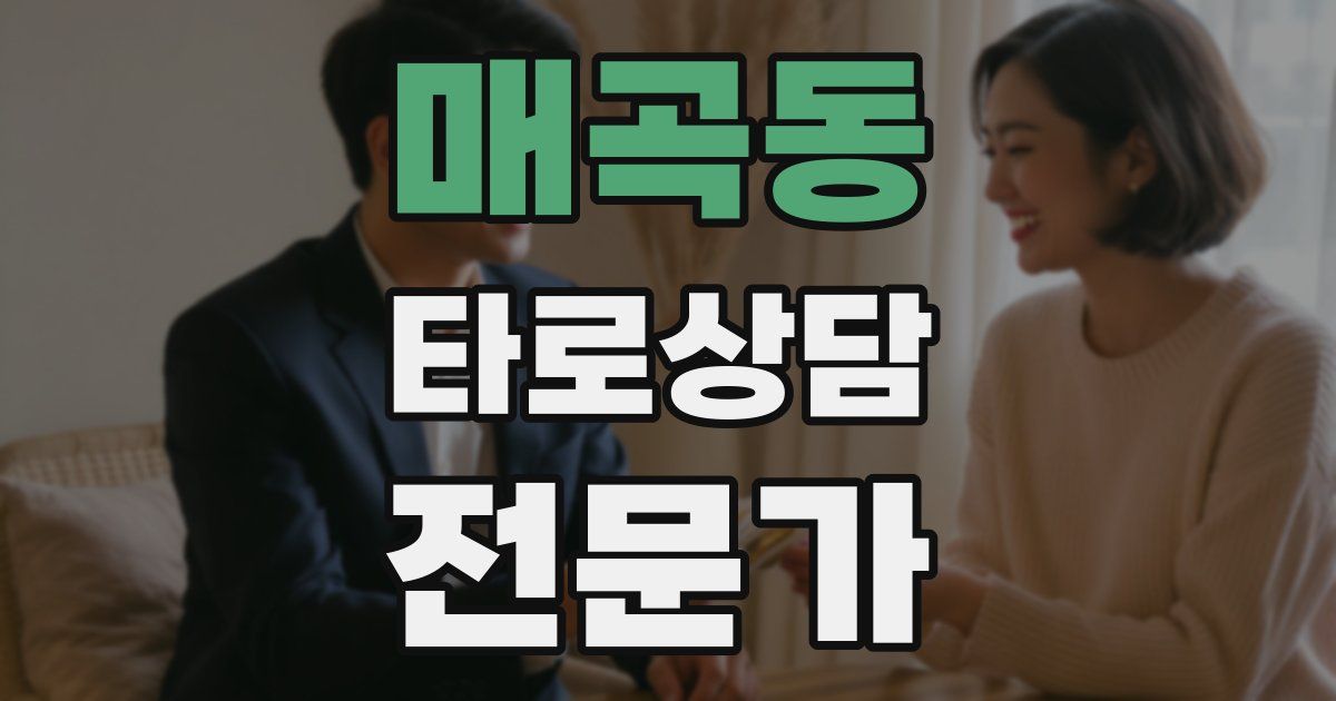 매곡동 타로상담전문가 자격증