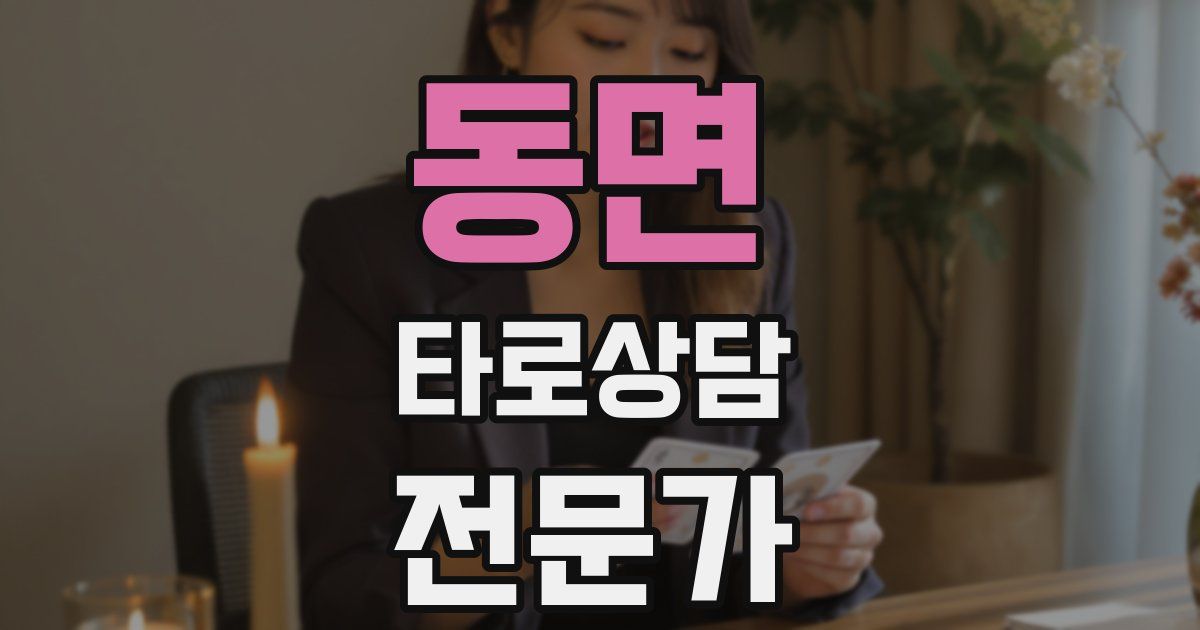 동면 타로상담전문가 자격증