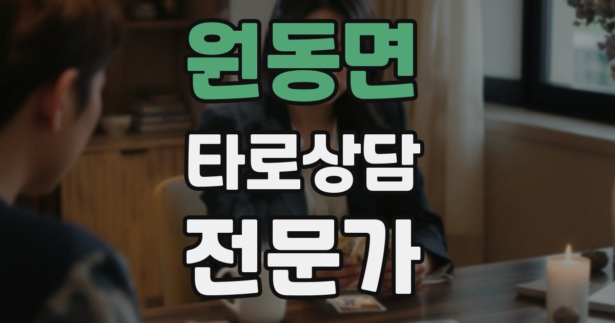 원동면 타로상담전문가 자격증