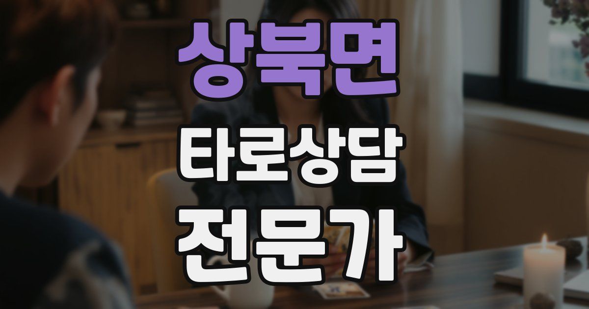 상북면 타로상담전문가 자격증
