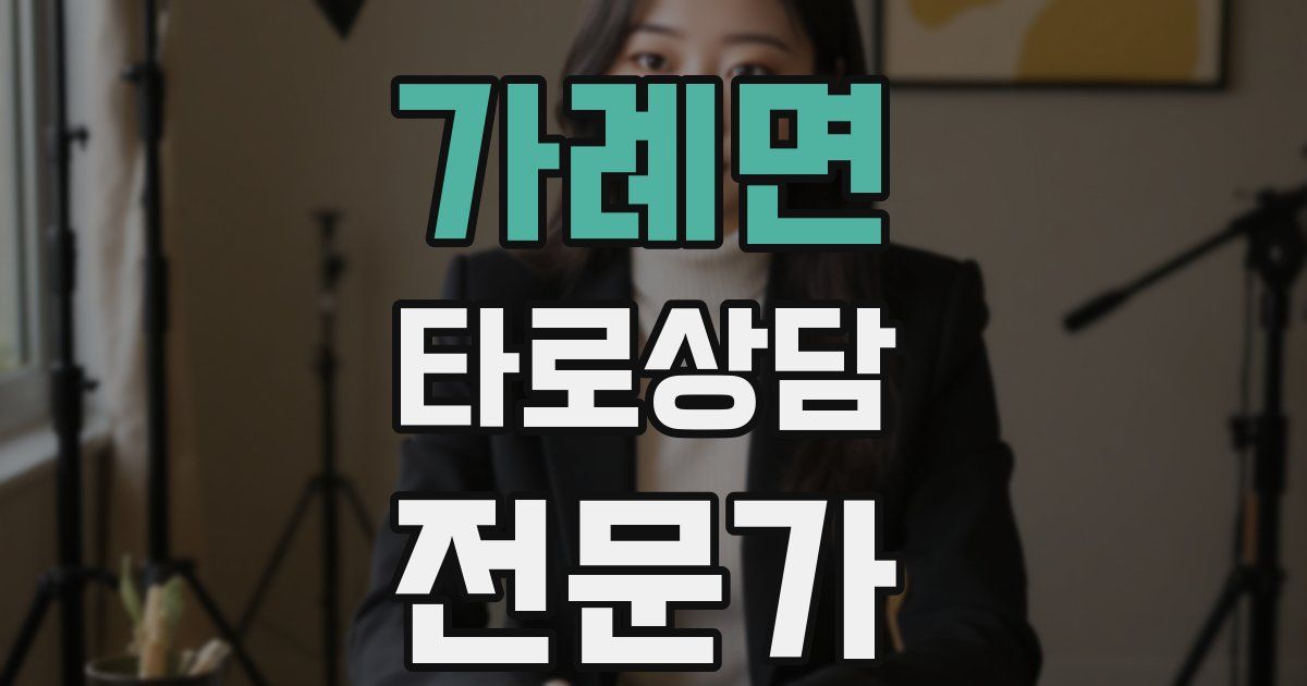 가례면 타로상담전문가 자격증