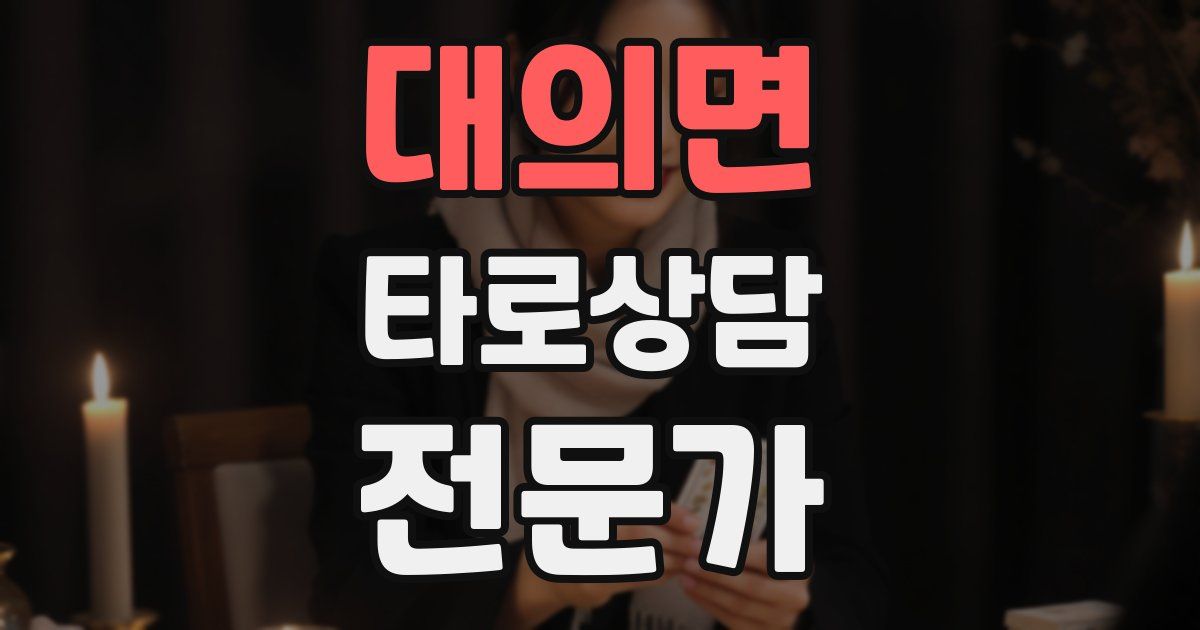대의면 타로상담전문가 자격증
