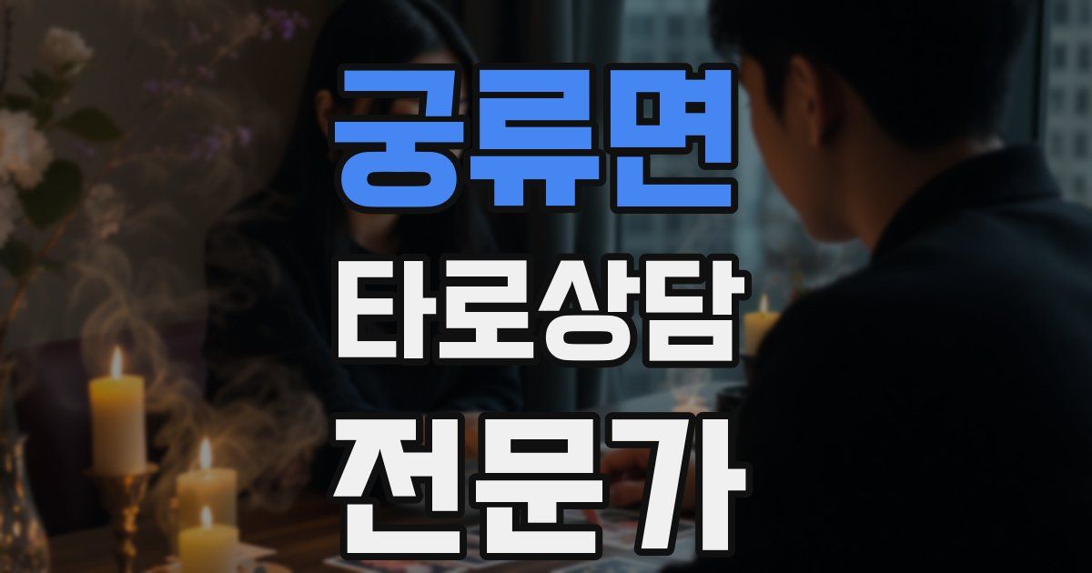 궁류면 타로상담전문가 자격증