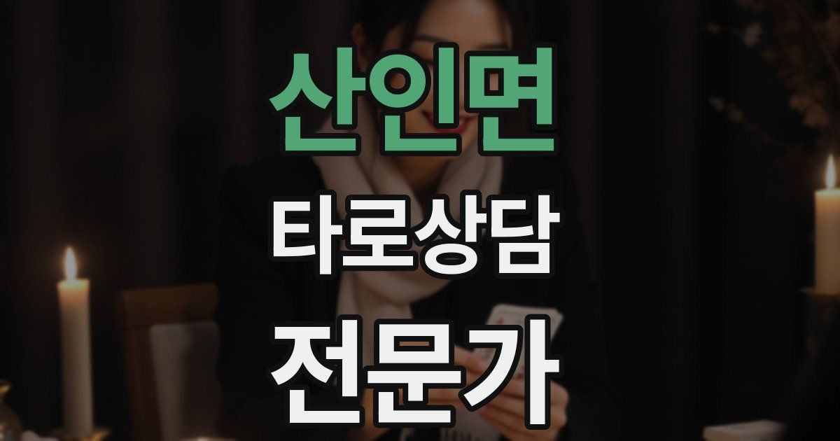 산인면 타로상담전문가 자격증
