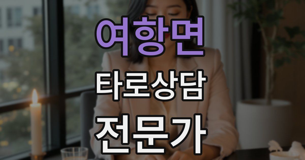 여항면 타로상담전문가 자격증