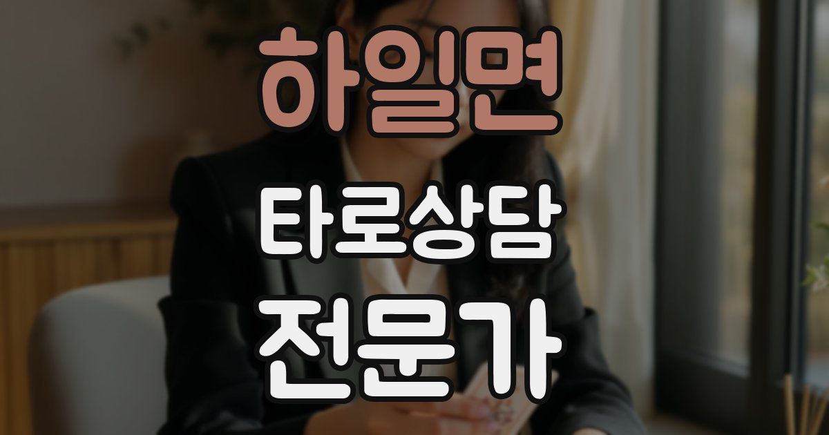 하일면 타로상담전문가 자격증