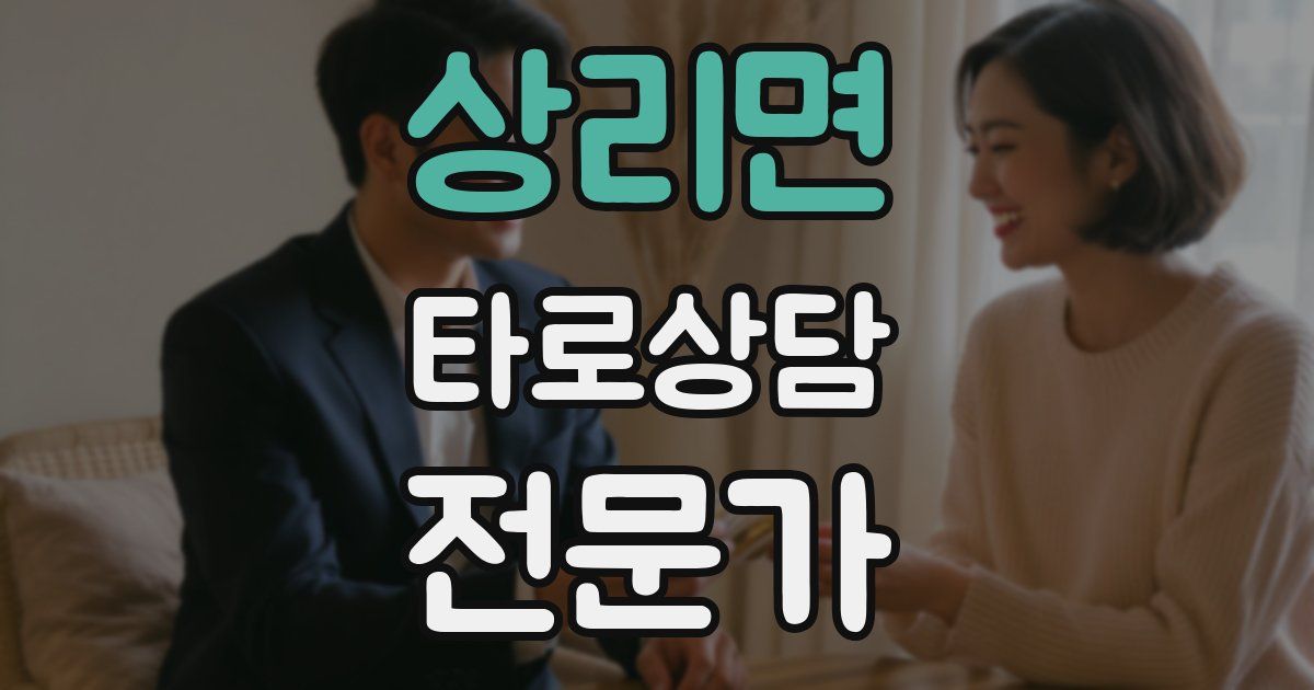 상리면 타로상담전문가 자격증