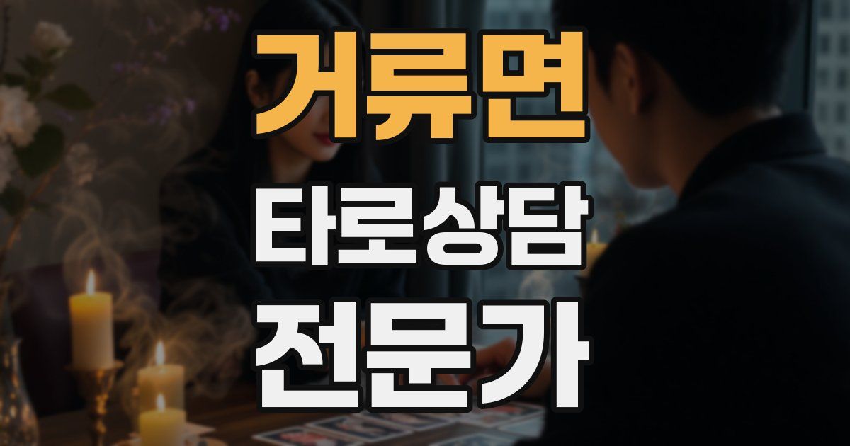 거류면 타로상담전문가 자격증